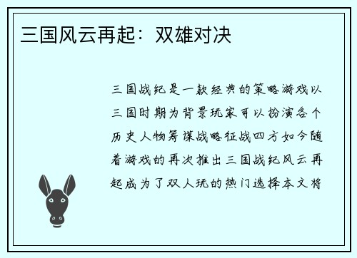 三国风云再起：双雄对决